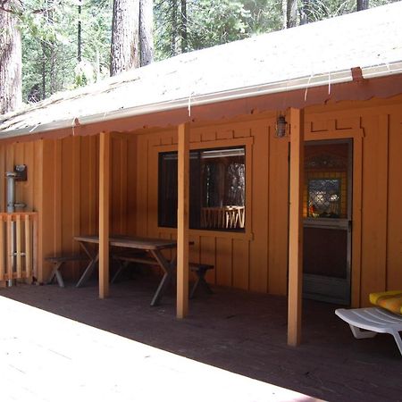 9S Pine Cabin South Wawona Ngoại thất bức ảnh