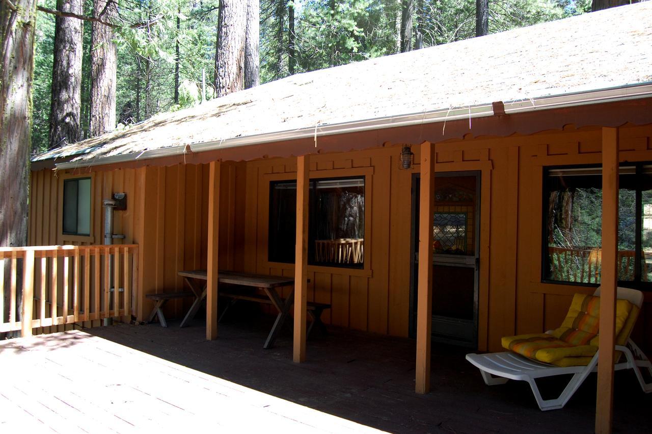 9S Pine Cabin South Wawona Ngoại thất bức ảnh